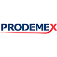 Promotora y Desarrolladora Mexicana (Prodemex)